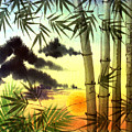 Bamboo at Sunset