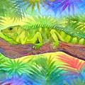 Iguana